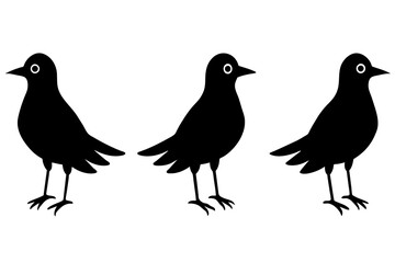 misty bird silhouette vector illustration 