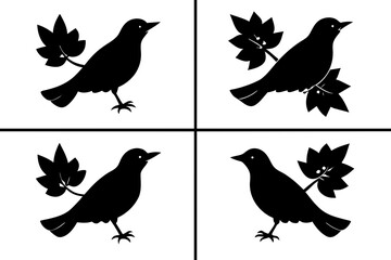 ivy bird vector silhouette vector illustration
