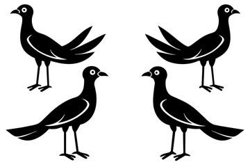 flossie bird silhouette vector illustration