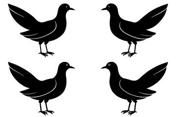 flossie bird silhouette vector illustration