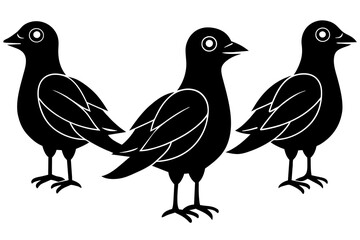 doodle  bird silhouette vector illustration