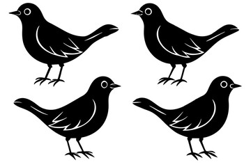 buttercup bird silhouette vector illustration