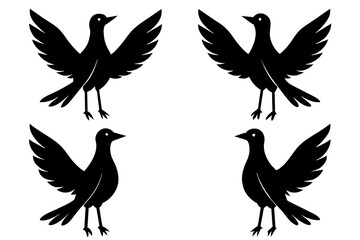 bella bird silhouette vector illustration