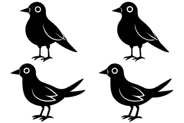 bella bird silhouette vector illustration
