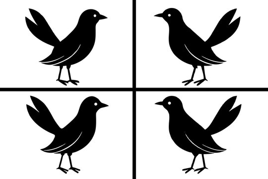 bella bird silhouette vector illustration