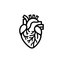 Heart flat line icon. Vector illustration of human internal organ, outline illustration on white background