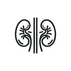 Kidney icon vector. kidneys vector illustration on white background