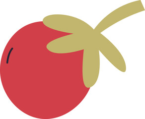 Cherry Tomato Vegetable