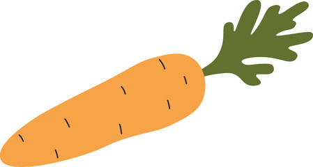 Carrot Vegetable Icon