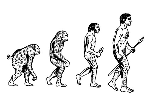 Human evolution engraving PNG illustration with transparent background