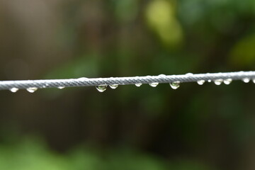 macro photography water drops on wire dew raindrop in nature on blurred background