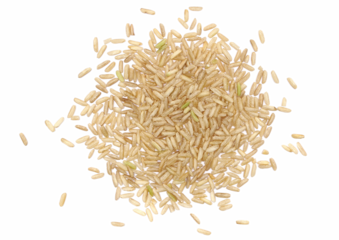 Brown rice, uncooked and hulled, isolated on white, top view