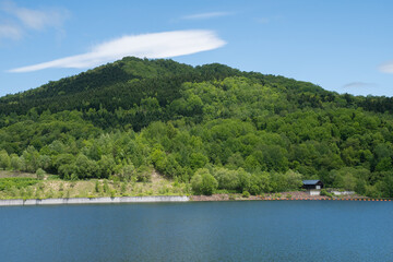 Fototapeta na wymiar 新緑の森と湖 