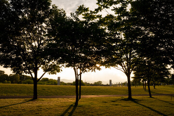 夕日に照らされる公園
