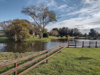 PARQUE, LAGUNA, CESPED