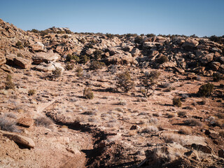 Wide view of soverign single track mountain bike trails in Moab Utah