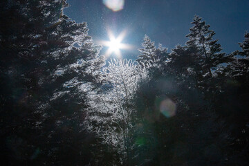 雪の八ヶ岳赤岳鉱泉　テント場から　極寒の日の出の景色
