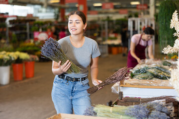 Glad young woman purchasing bunches of lavender in point of sale of plants outdoors