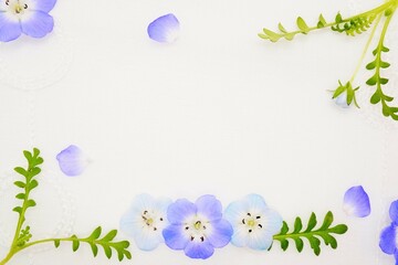 白バックに並べられた青いネモフィラの花と葉の背景素材