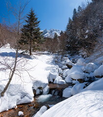 雪の八ヶ岳赤岳鉱泉への道　北沢登山道