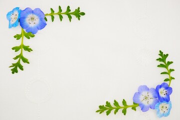 白バックに端をネモフィラの葉と青い花で飾った春イメージのメッセージフレーム素材