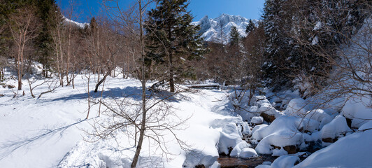 雪の八ヶ岳赤岳鉱泉への道　北沢登山道