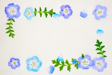 白背景に青いネモフィラの花を四角に並べた華やかな春のフレーム