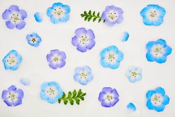 白背景に美しいの花を並べた春っぽいオシャレなパターンの壁紙素材