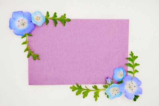 レースの白背景に青いネモフィラの花と葉を飾った紫の和紙の可愛らしいコメントスペースのモックアップ
