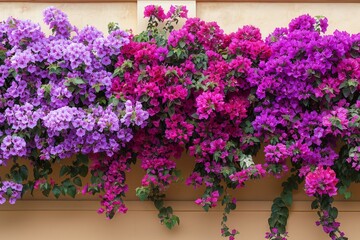 Lush flowers adorning the side of a building, adding a vibrant touch to the urban setting