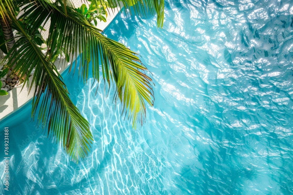 Poster a tranquil pool reflecting a clear blue sky, with a lush palm tree casting its shade on the waters e