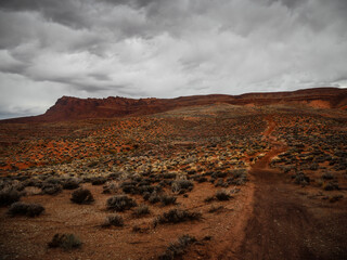 Red sandy four wheel drive trail in St. George Utah below red cliffs during storm