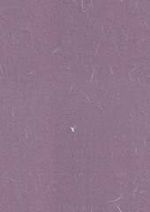 Fibers Rice Paper Texture. Venus, Old Lavender, Strikemaster, Mountbatten Pink Color. Hand Made Craft Paper for the Wallpaper or Backdrop. Seamless Transition. Vertical portrait orientation.