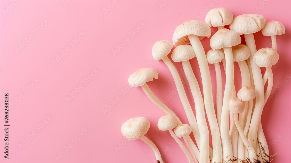 Poster enoki mushroom on soft pastel background creating a delicate display aesthetically