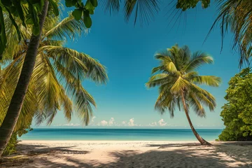 Foto op Plexiglas anti-reflex tropical beach with palm trees. Sunny summer day. Summer vacation and travel concept. © Koray
