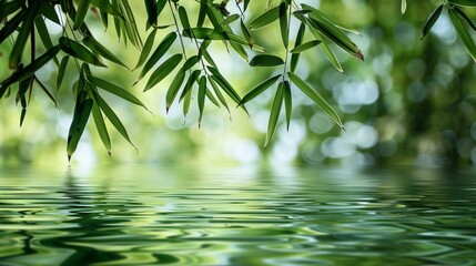 bamboo leaves reflected in water