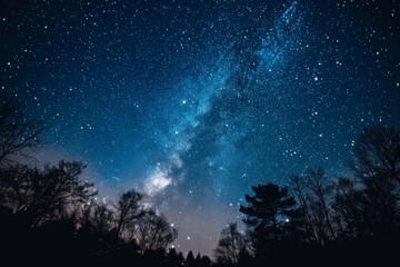 Milky Way among trees in a night forest - obrazy, fototapety, plakaty
