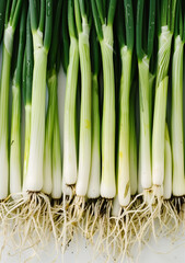 Spring Onions with Roots on White Background