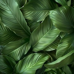 green leaf background