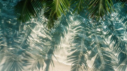 Tropical Paradise. Lush palms cast mesmerizing shadows on a pristine beach.