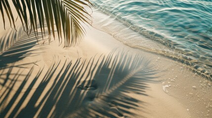 Fototapeta na wymiar Serene beach scene. palm leaf shadows on clear water.