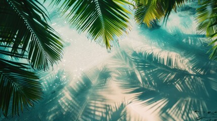 Tropical scene from above. palm shadows on a white sand beach.