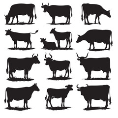 set of cows silhouettes on white