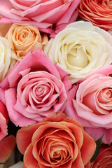 Group of white roses, wedding decorations