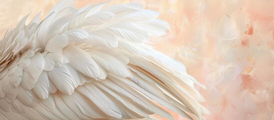 Fototapeta na wymiar Feather of a white swan against a soft-colored backdrop