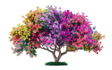 Blossoming Beauty: A Tree Adorned with Vibrant Flowers isolated on transparent Background