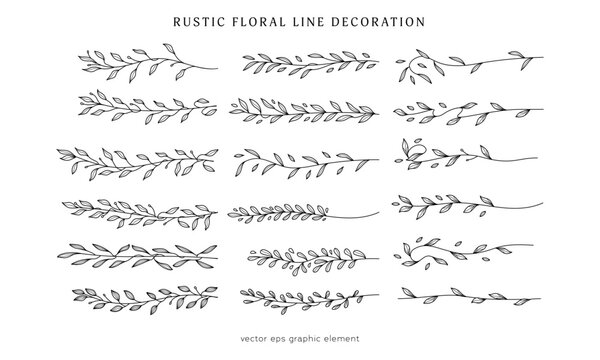 collection of decorative floral line divider for rustic wedding or design decoration element, rustic leaf branch decoration