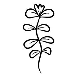 Botanical leaves line