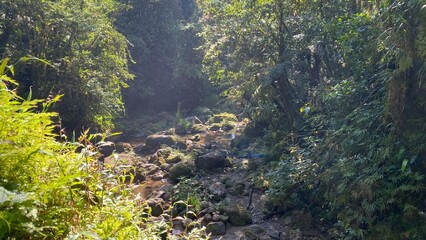 photography in nature on the way to Las Golondrinas waterfall in Cuetzalan del Progreso Puebla...