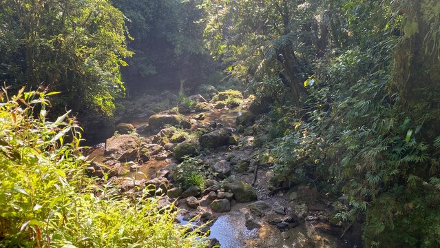 photography in nature on the way to Las Golondrinas waterfall in Cuetzalan del Progreso Puebla Mexico